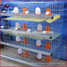 Poultry equipment /poultry auger feeder/poultry equipment chicken farm